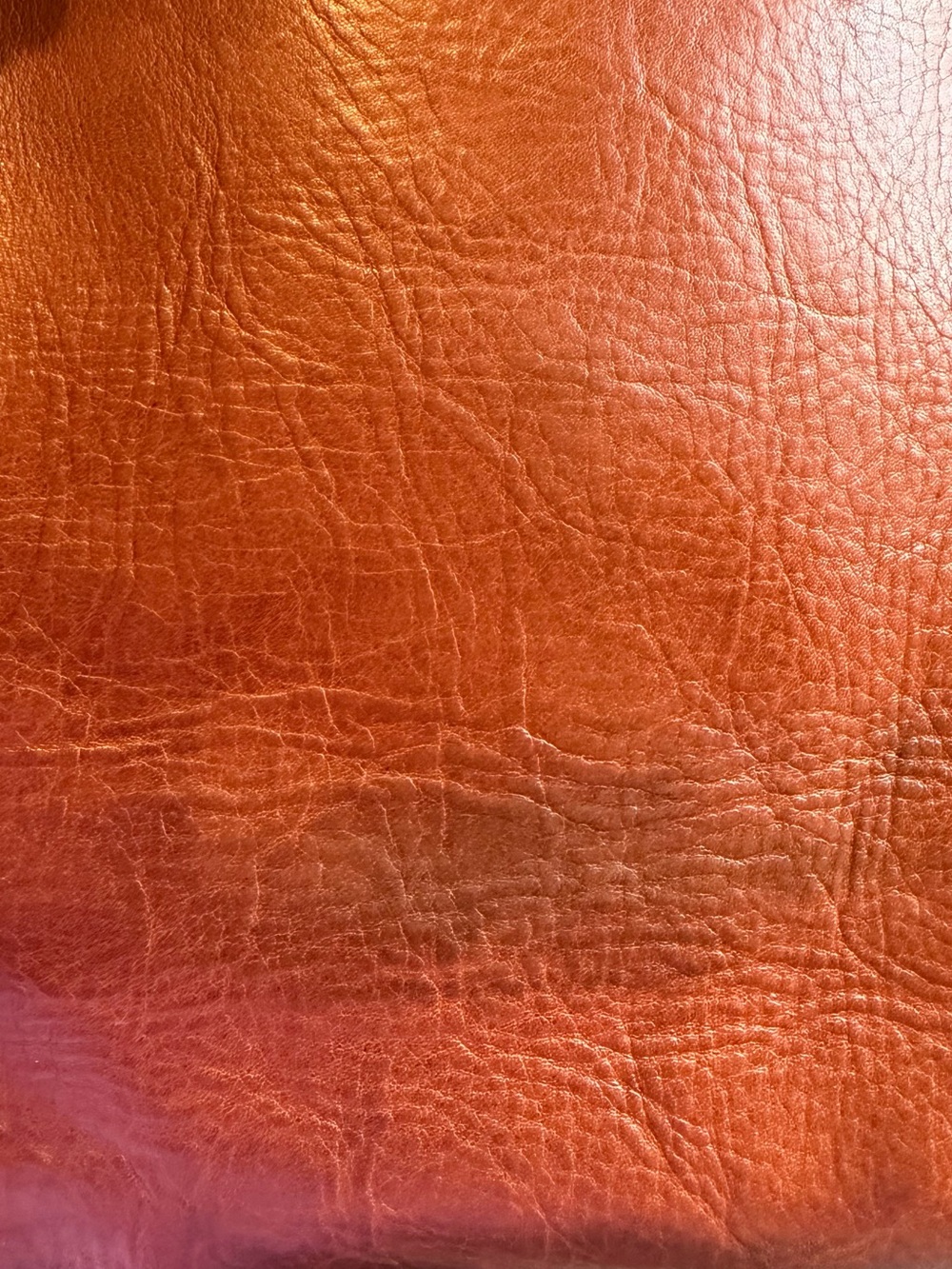 Madewell Leather Tote in Warm Chestnut Brown - Picture 4 of 8